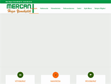 Tablet Screenshot of mercanyemekcilik.com